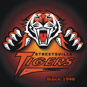 Tigers hockey. . . just for the fun of it!